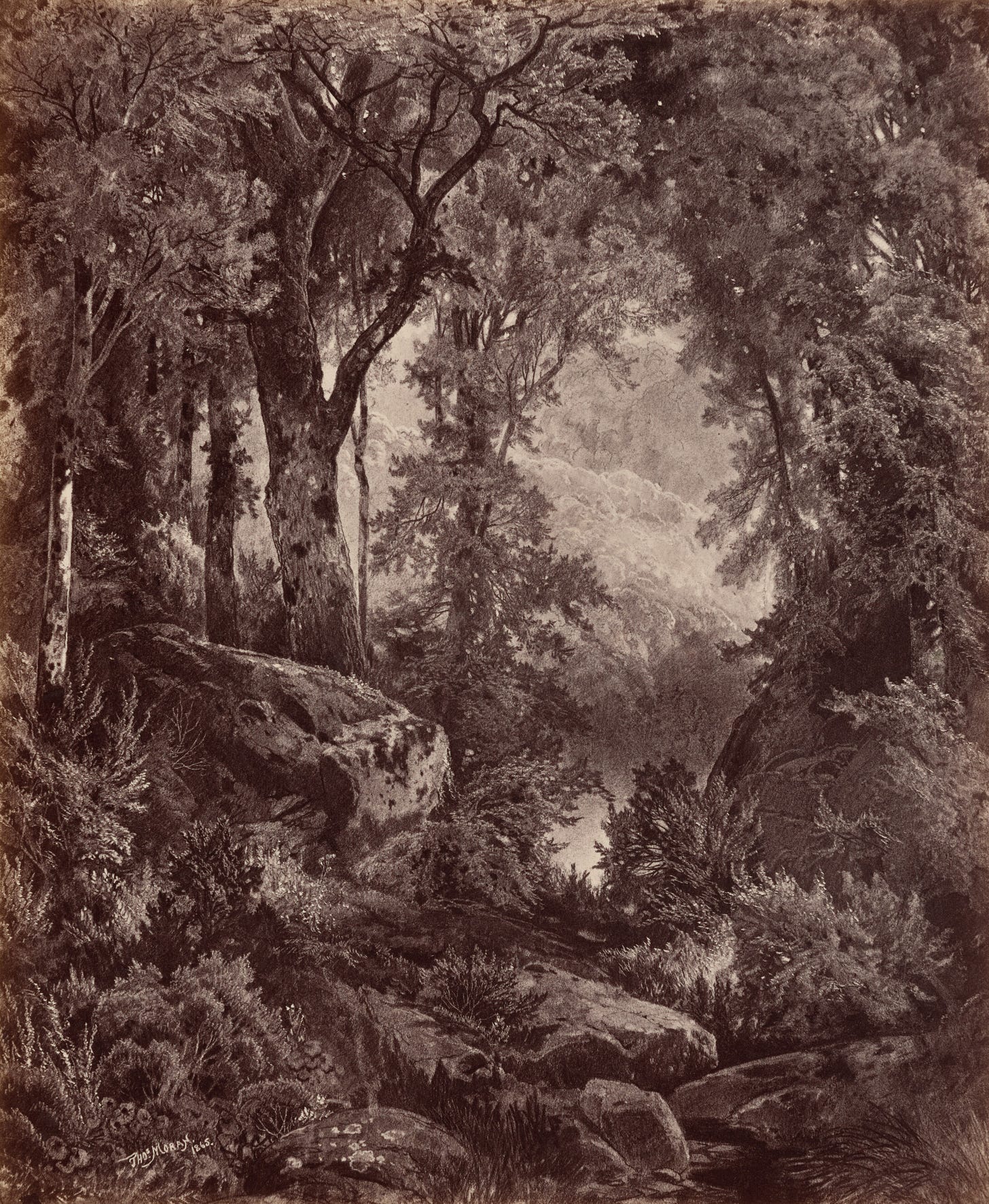 "Solitude" by John Moran, 1865, albumen print