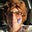 Marjorie  Stanko's avatar