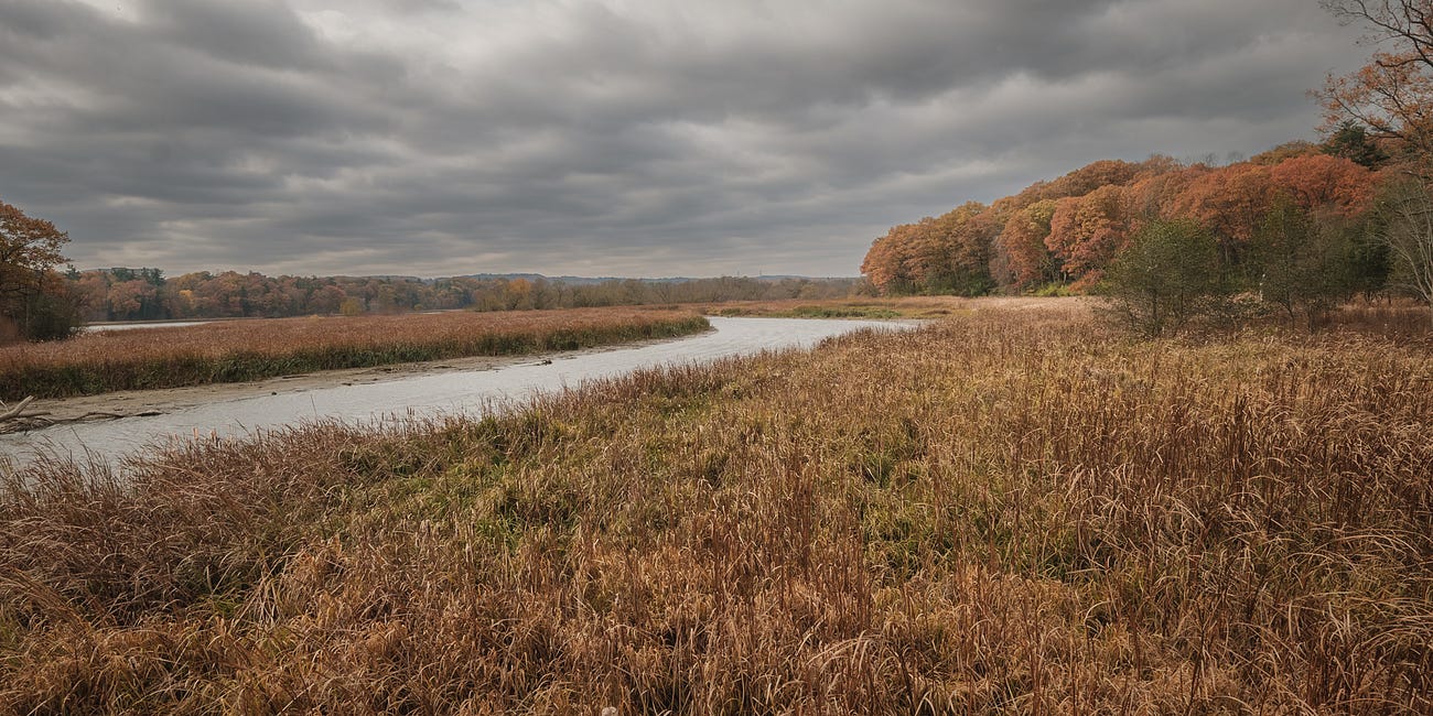 ‘Death knell for watersheds’: Ford set to shrink conservation authorities, plunge Ontario into chaos