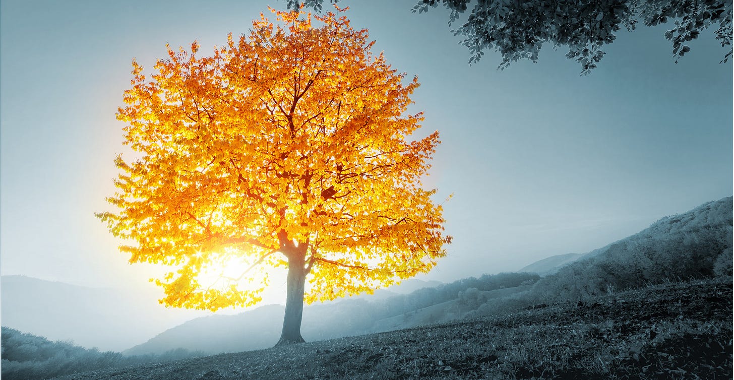 GoldenTree, $41 billion hedge fund, puts Bitcoin on its balance sheet |  Blocktalk
