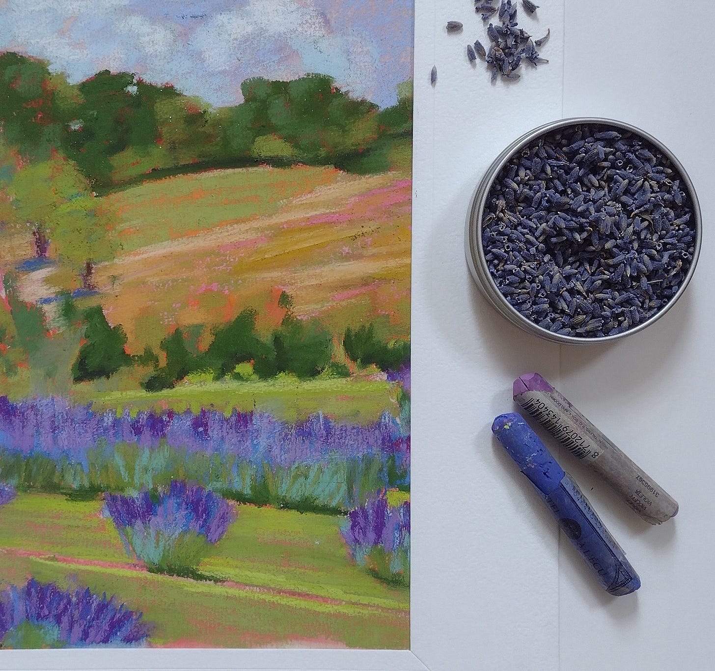 Lavender Farm