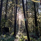 You’ll be happier, and achieve more, if you’re kinder to yourself