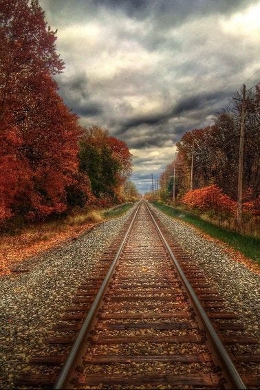 No photo description available.