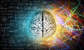 The Polyvagal Theory: Its Story and ...