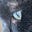 Patty Lacasse's avatar