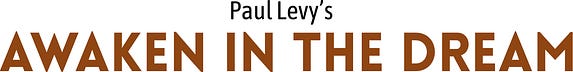 Paul Levy's Awaken In the Dream