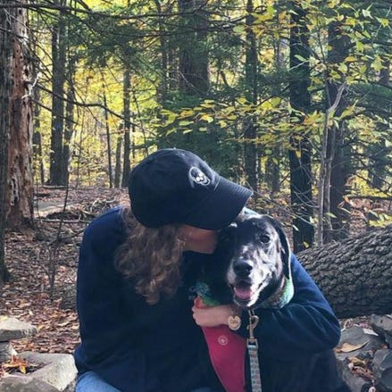 Artwork for Teddy’s Substack