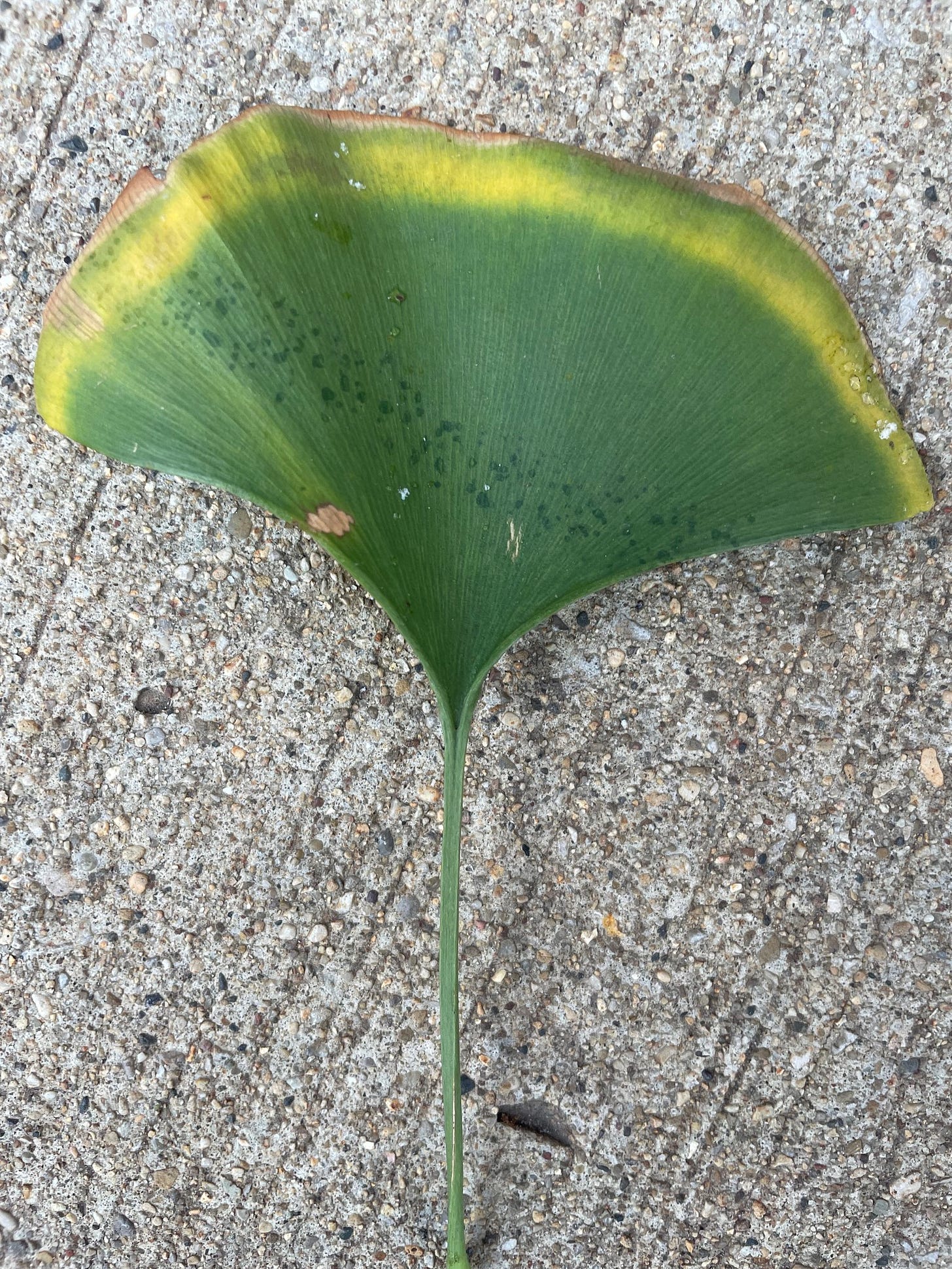 No photo description available.