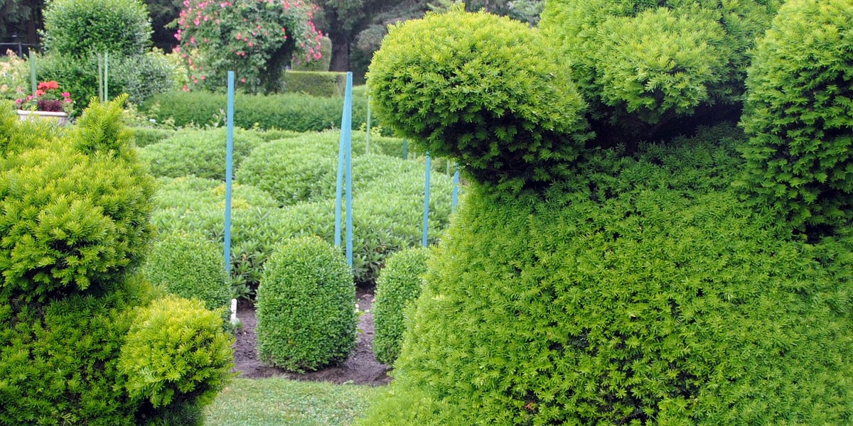 Fly on the Wall with Shrub & Cloudbear
