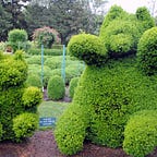 Reminiscences of a Shrub Operator