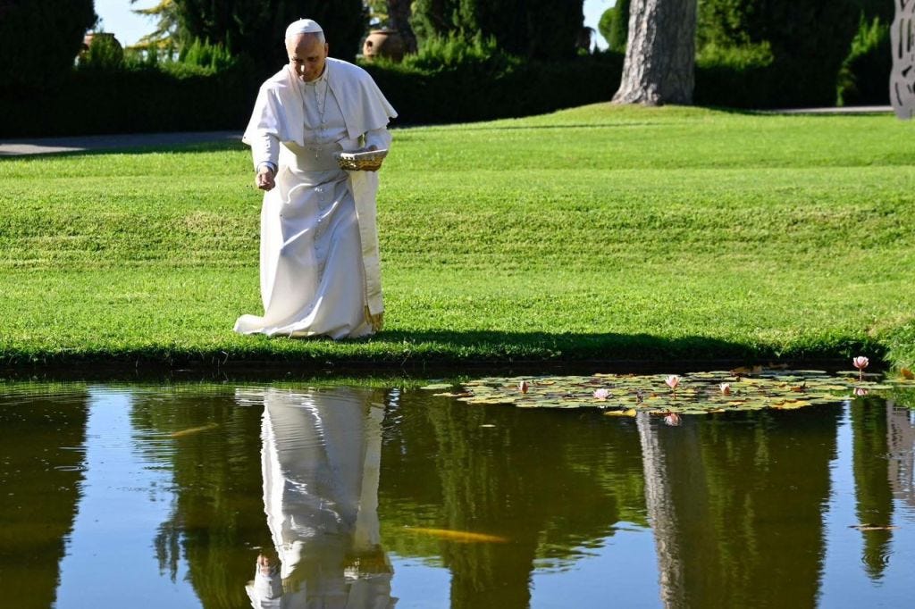 Pope Leo XIV Sends Young People and the World a Powerful Message by Inaugurating the Borgo Laudato Si at Castel Gandolfo | Laudato Youth Initiative | Uniting Youth for Climate Action Pope Leo XIV Sends Young People and the World a Powerful Message by Inaugurating the Borgo Laudato Si at Castel Gandolfo | Laudato Youth Initiative | Uniting Youth for Climate Action