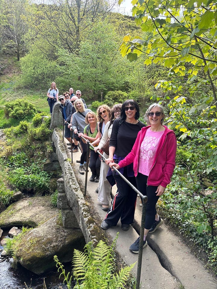 A walking group pose for a photo, Protest banner for Stop Calderdale Wind Farm, A novel called The Pretender by Jo Harkin, Katherine selfie