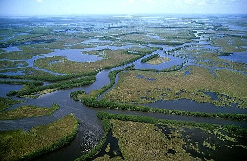 Aerial photo of Mississippi Delta Wetland, LA in 2021 | Mississippi delta, Cool places to visit, River delta Aerial photo of Mississippi Delta Wetland, LA in 2021 | Mississippi delta, Cool places to visit, River delta
