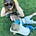 Jenica Donahue's avatar