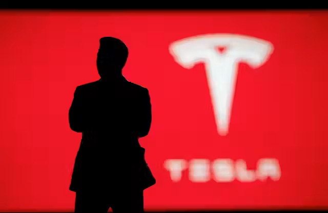 Silhouette of Elon Musk standing in front of the Tesla logo on a red background