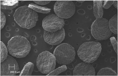 Gunshot residues (GSR) analysis of clean range ammunition using SEM/EDX,  colorimetric test and ICP-MS: A comparative approach between the analytical  techniques - ScienceDirect