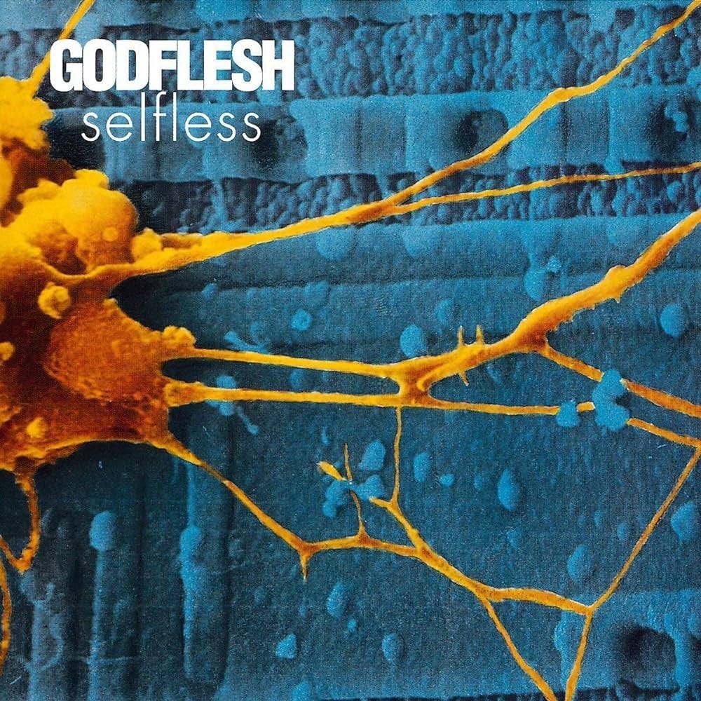 Selfless: Godflesh, Godflesh: Amazon.it: CD e Vinili}