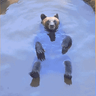 It's Eating Cats And Dogs. Tabs, Thurs., Sept. 12, 2024