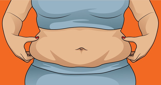 Stomach Fat R
