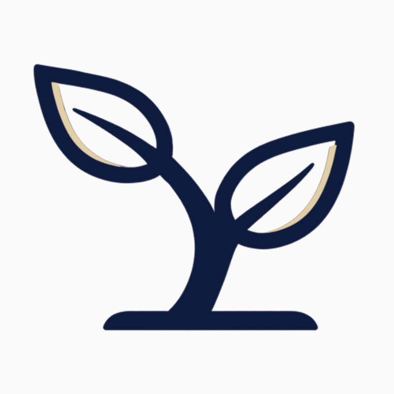 Micro Business ideas