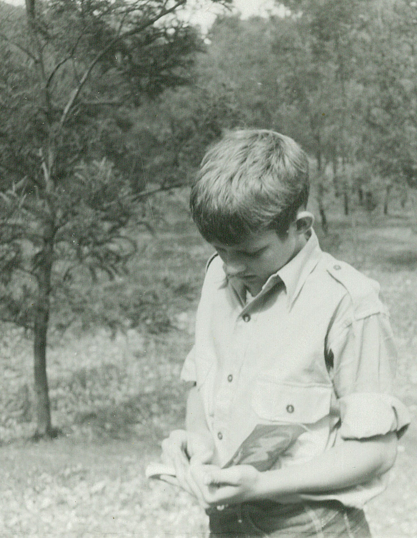 Jeremy Griffith aged 15 recording bird sightings at Geelong Grammar School Timbertop campus, where he won the Natural History Prize and was runner up for Best Boy of the Year (1961)
