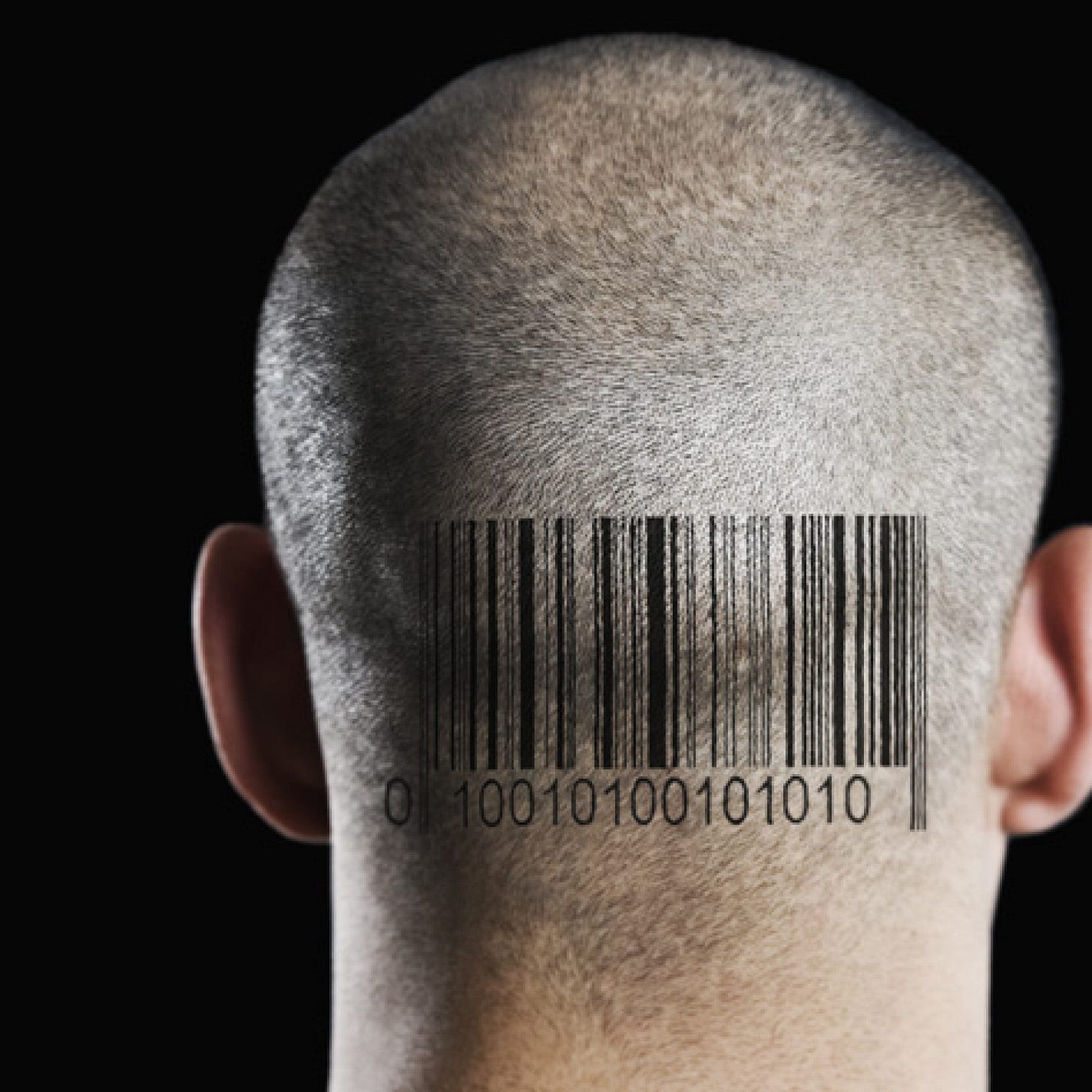 Human barcode' could make society more organized, but invades privacy, civil liberties – New York Daily News Human barcode' could make society more organized, but invades privacy, civil liberties – New York Daily News