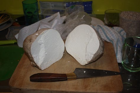 1) Giant puffball in paddock 2) cross section through giant puffball, 3) slice of puffball with chutney and cheese, 4) puffball toastie in panini press, 5) plate of puffball toasties 6) me eating a puffball toastie