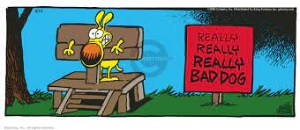 The Punish Comic Strips | The Comic Strips