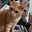 Dorothy Cat's avatar