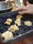 cobbler cobbler