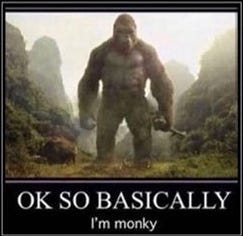 OK SO BASICALLY I'm monky