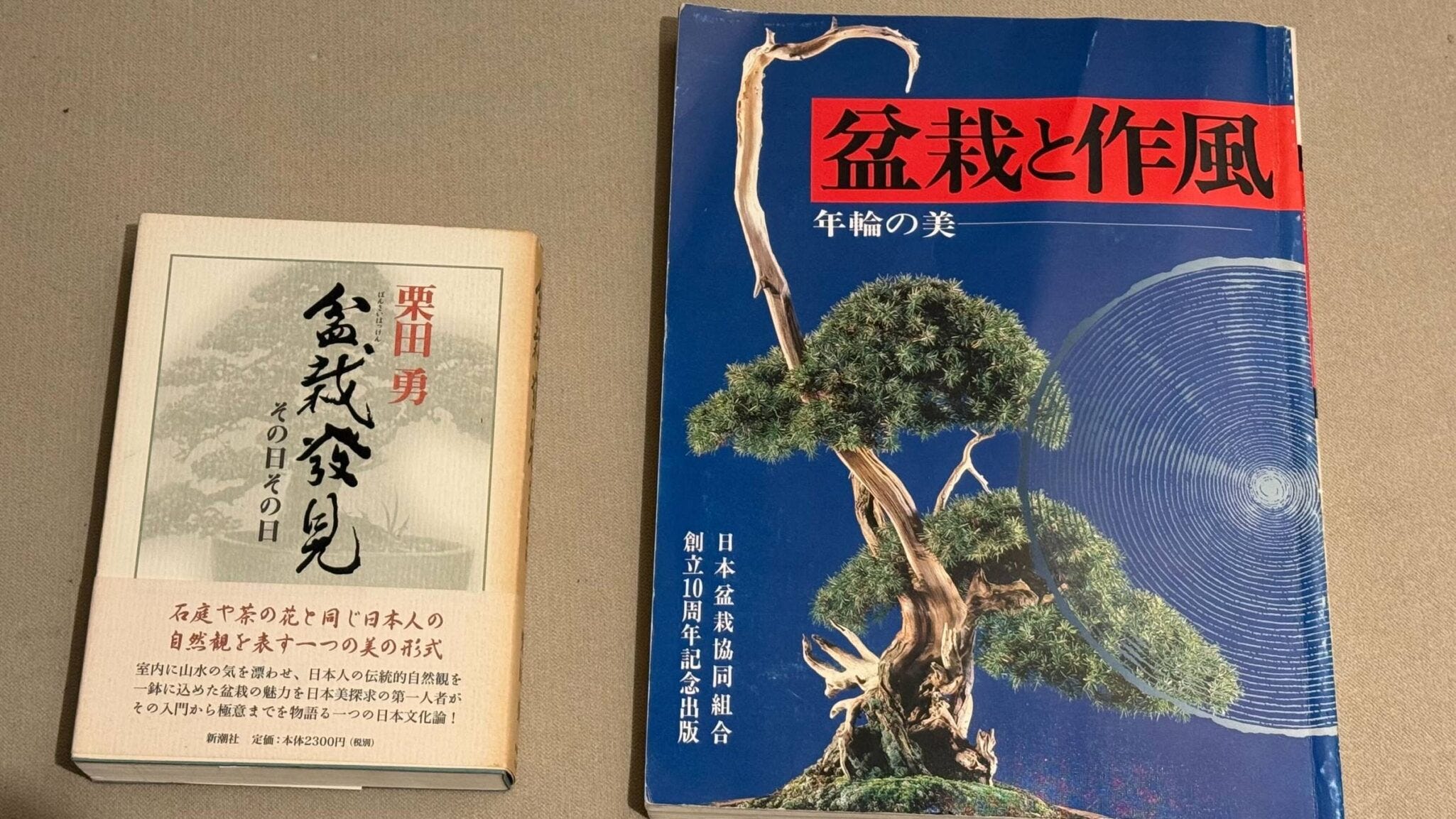 Bonsai as an Alternative Asset - by Stefan von Imhof