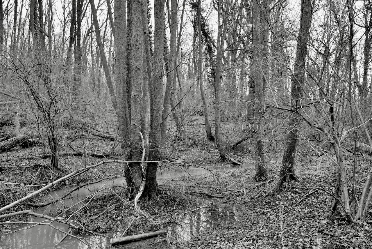 Natur – Sascha Büttner Fotografie