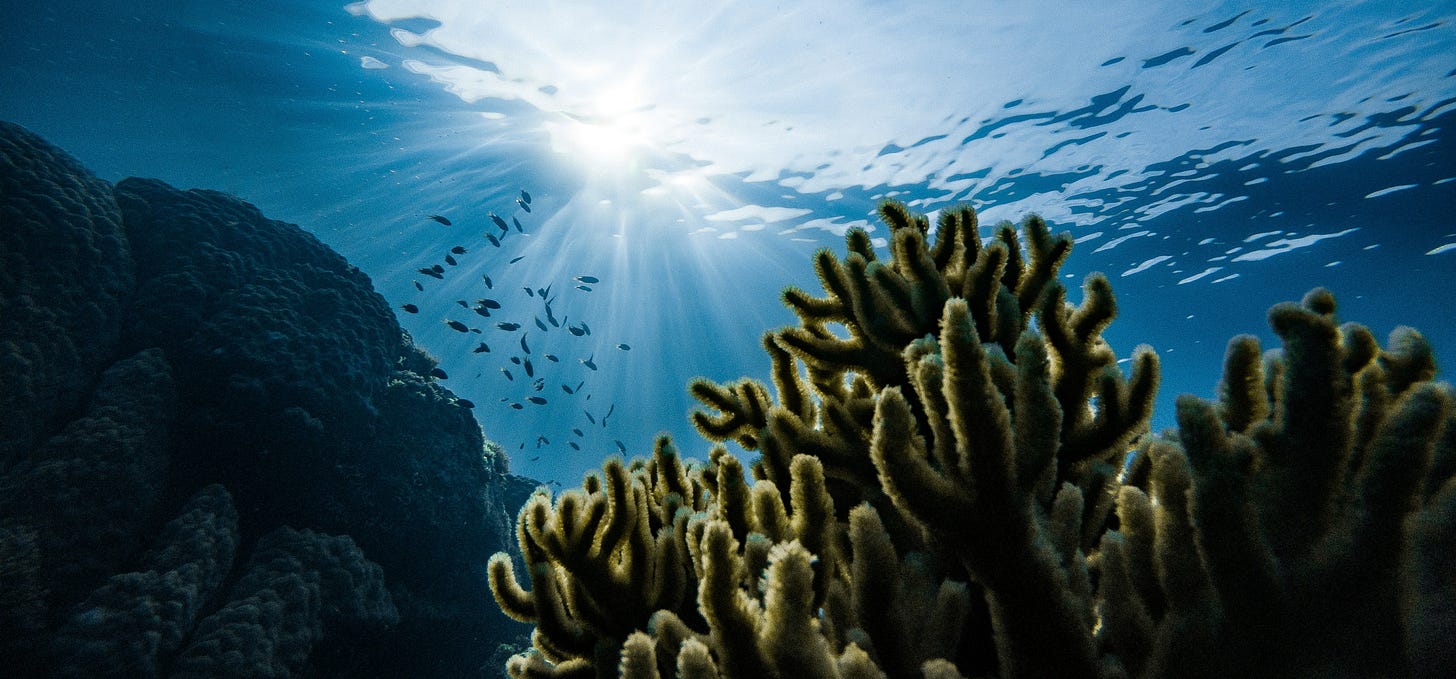 Article content Article content