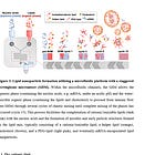 The Strange World of "Nano"