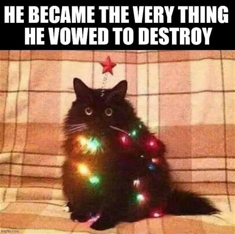 Image tagged in cats,christmas tree - Imgflip