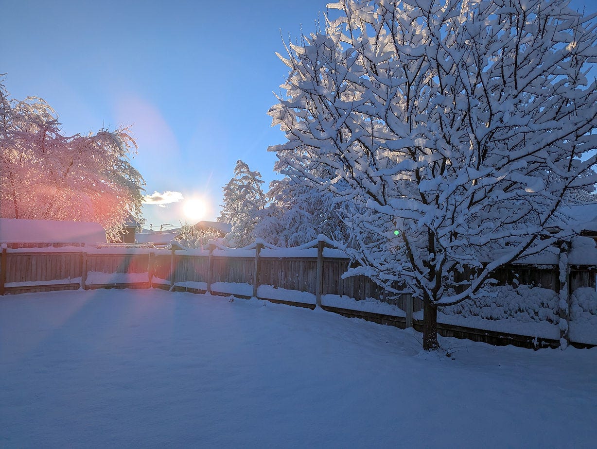 February snow in Oregon.