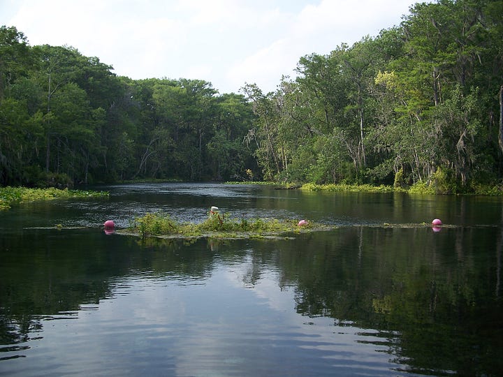 The Silver River from within the park. By Ebyabe CC BY 2.5 commons.wikimedia Public Domain | The Silver Springs glass-bottom boats at the headspring area in 2017 Jackdude101 CC BY-SA 4.0 commons.wikimedia.org Public Domain | Entrance gate for Silver Springs in Ocala Florida, NeilEvans Public Domain commons.wikimedia.org | Silver Springs State Park P. Hughes, CC BY-SA 4.0 creativecommons.org Wikimedia Commons
