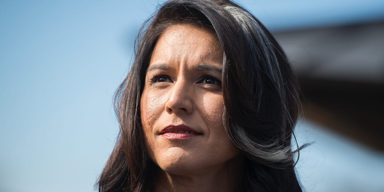American Stasi: Tulsi Gabbard Confirms "Quiet Skies" Nightmare