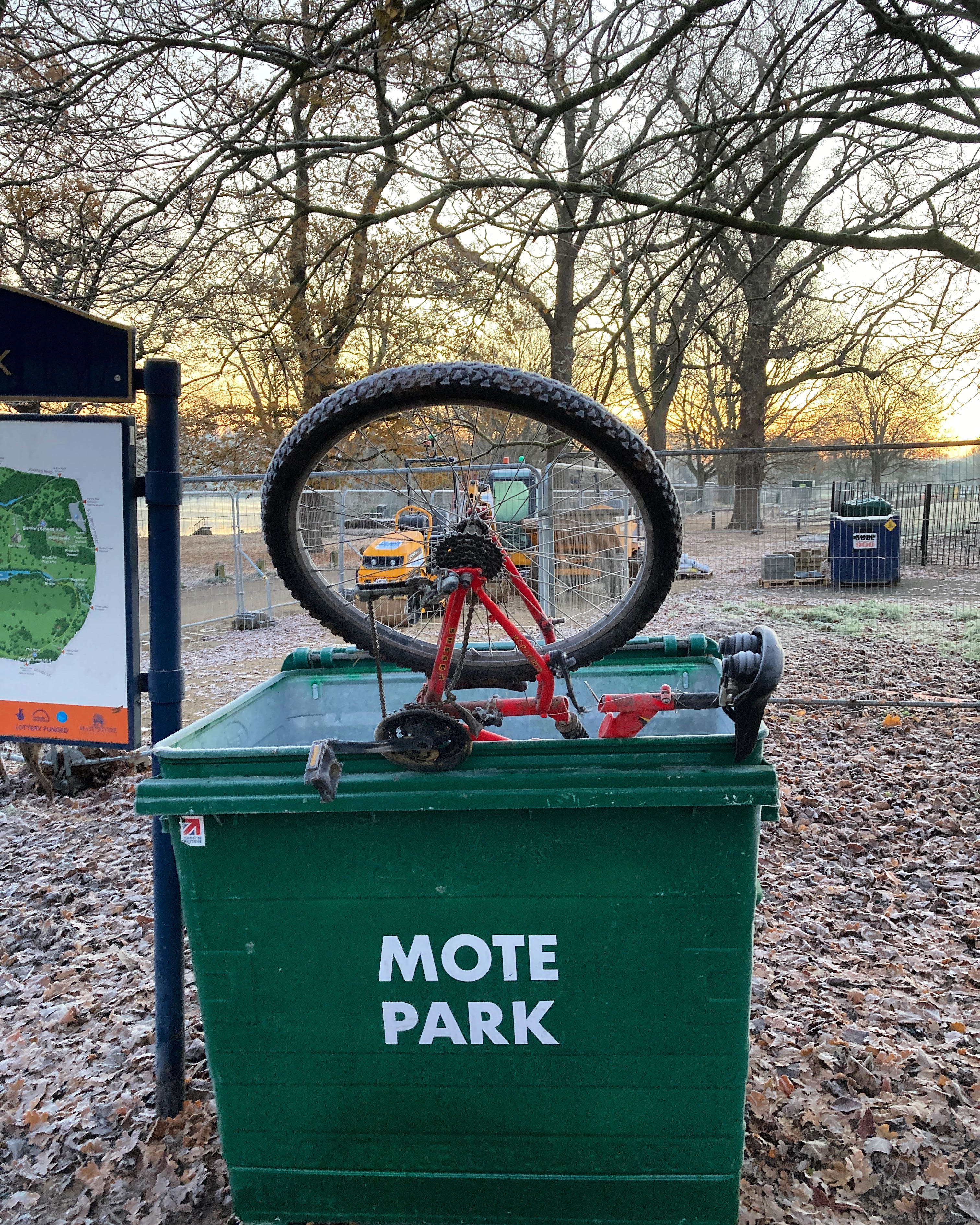 What a park with no bins can teach us about failed New Year resolutions