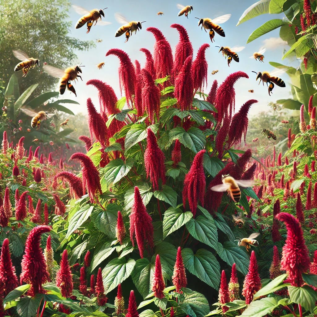 A vibrant outdoor garden setting with Hopi Red Dye Amaranth, showcasing its deep red cascading flowers surrounded by lush green foliage. Added to this scene is a lively swarm of bees buzzing around the amaranth flowers, creating a dynamic interaction with nature. The bees are detailed and in motion, their presence emphasizing pollination and ecological harmony. The background retains a clear blue sky and soft sunlight, enhancing the serene yet lively mood of the image.