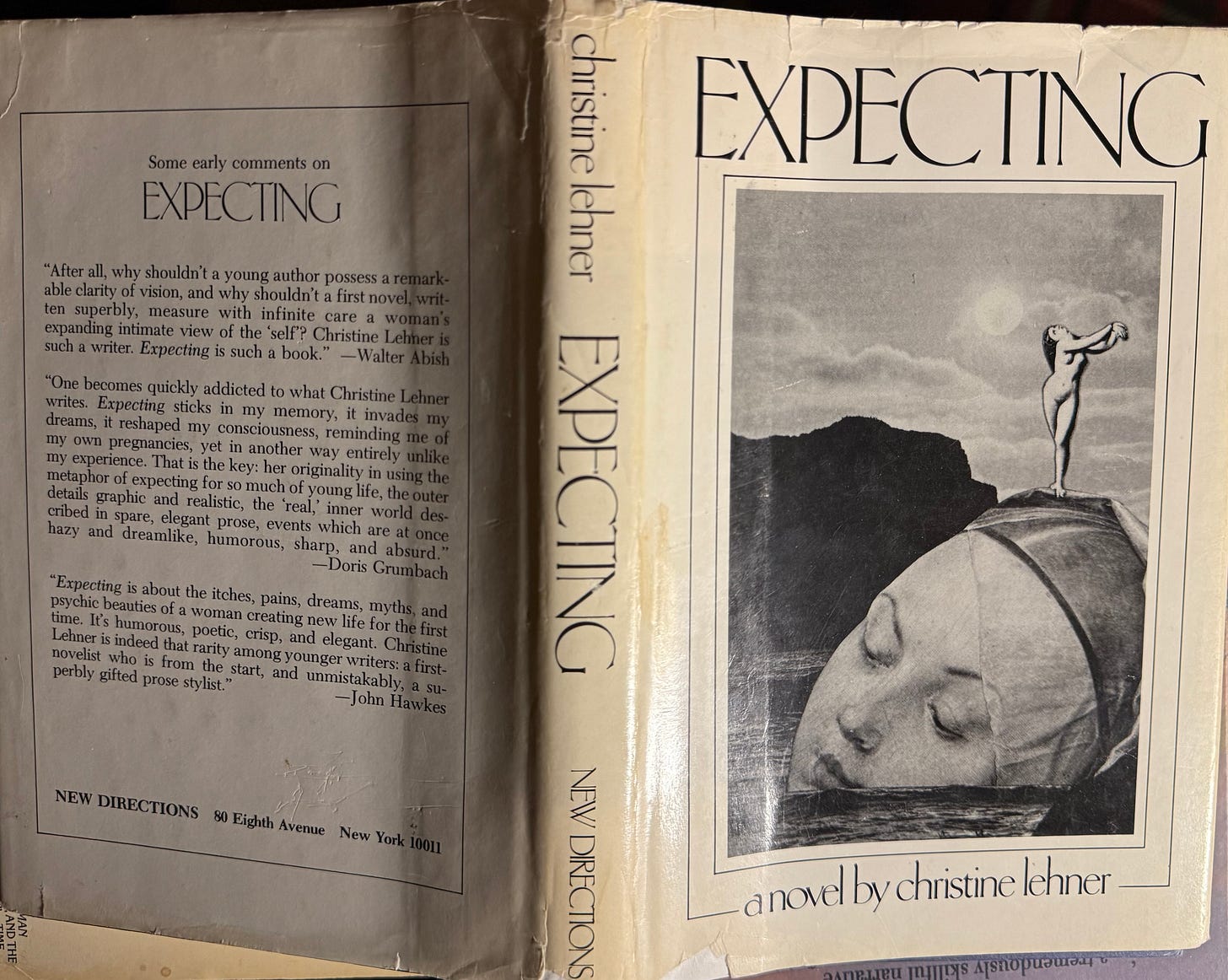 cover of Expecting by Christine Lehner