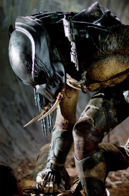 Predators