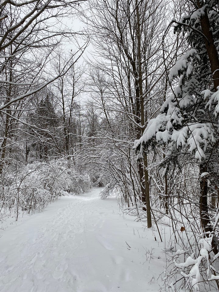 On a perfect wintery day on the Lakeshore Park trails