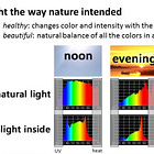 유리창으로 들어오는 햇빛은 자연광과 똑같을까?