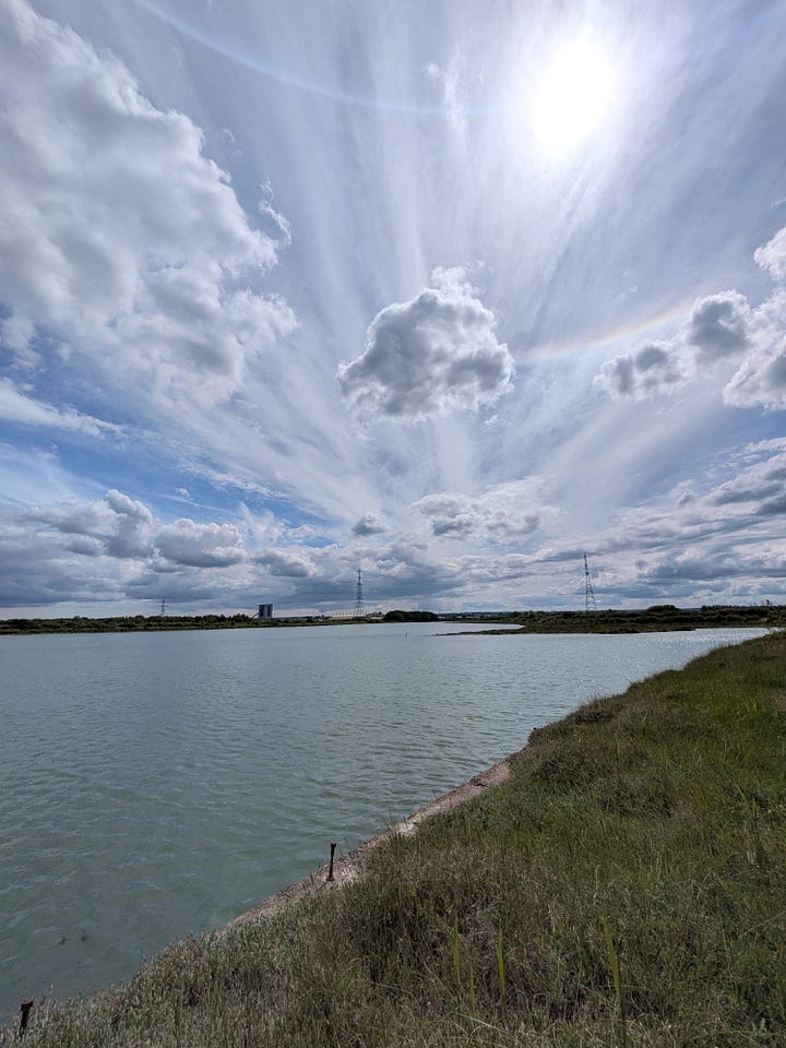 Photos of still water reflecting clouds, and marshy riverbanks overgrown with plants