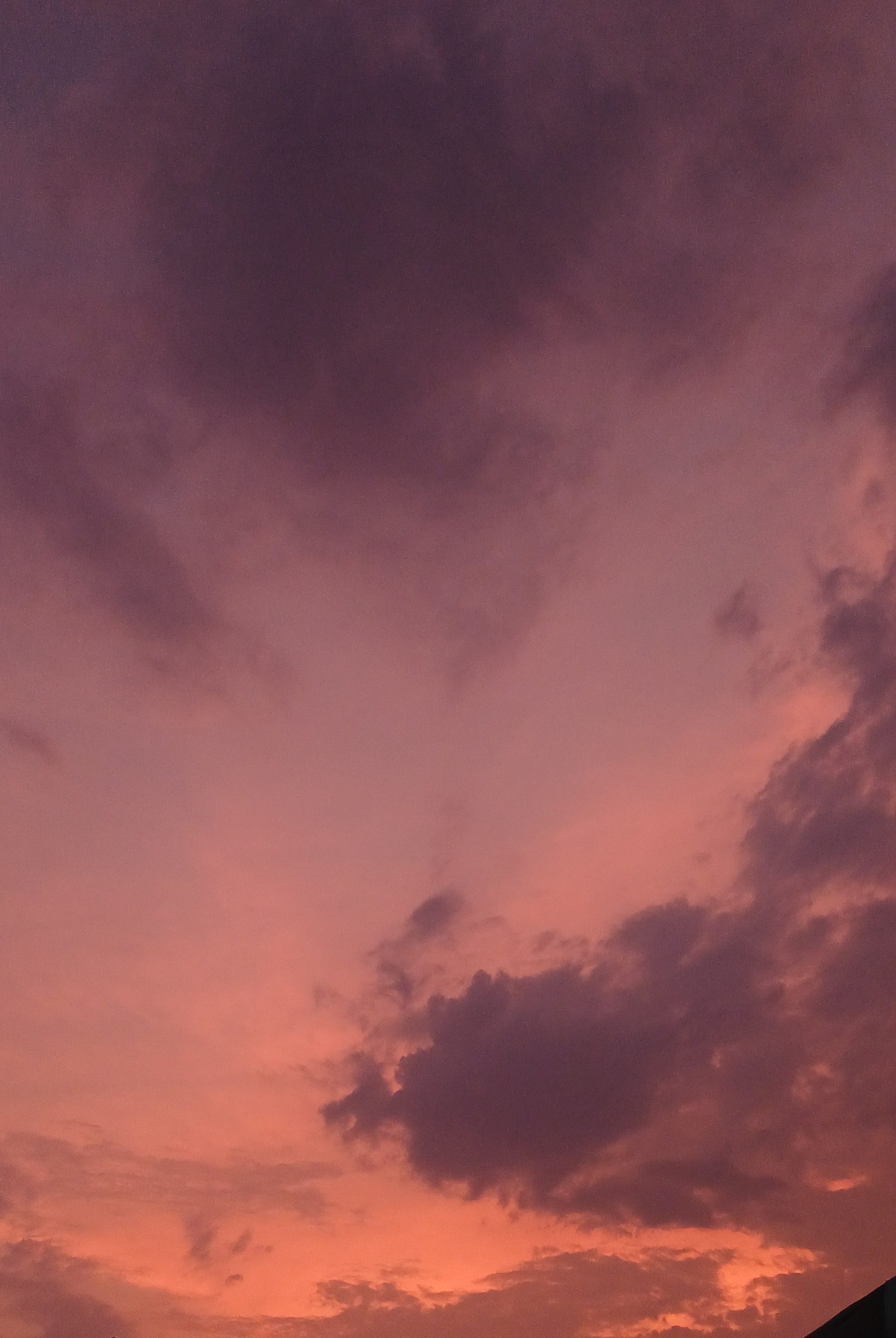 Musings of The Heart