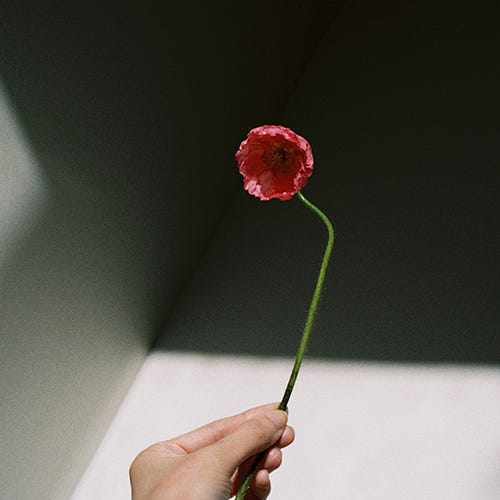 An Ode to Good Things