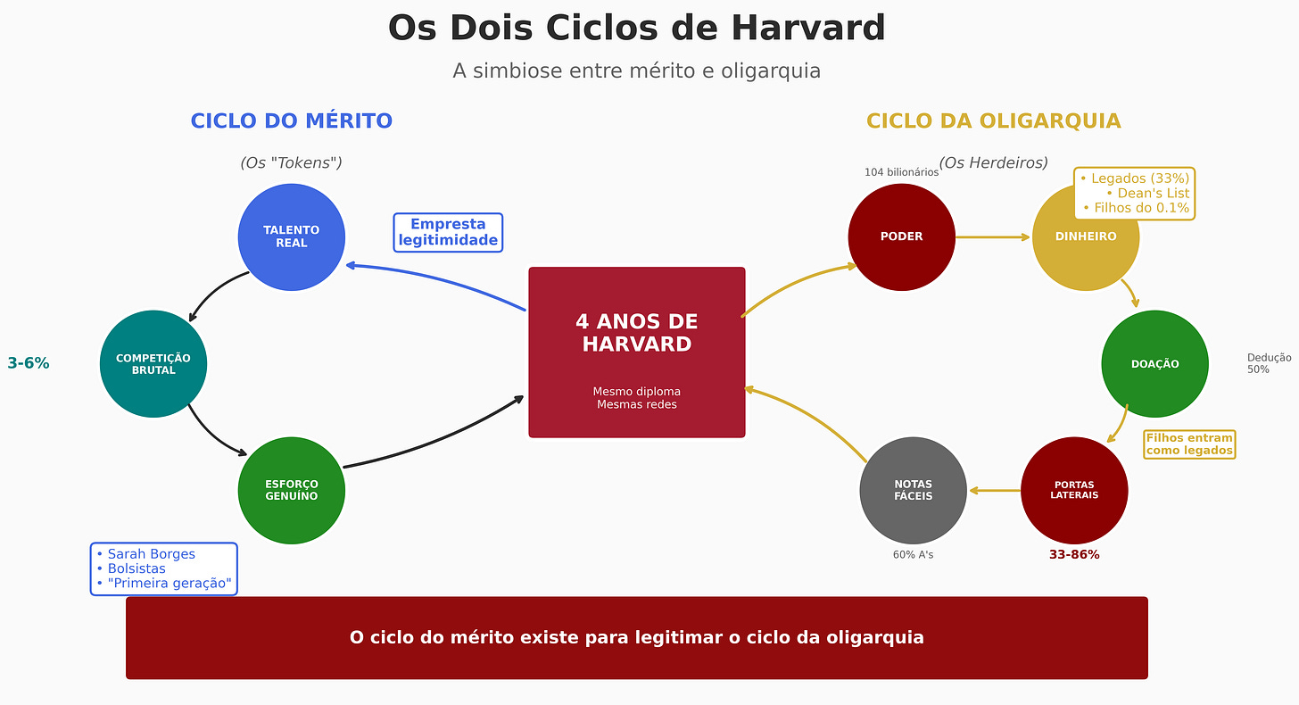 O ciclo fechado de Harvard