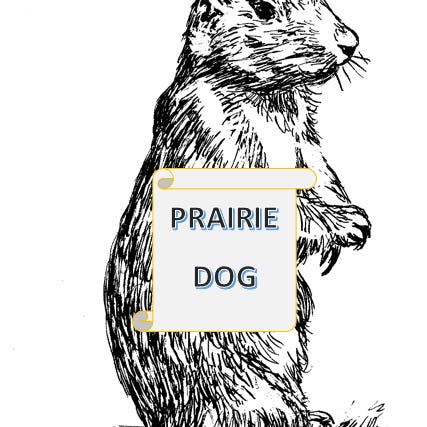 Substack profile picture for @prairie